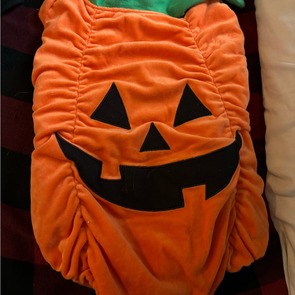 Dog costumes